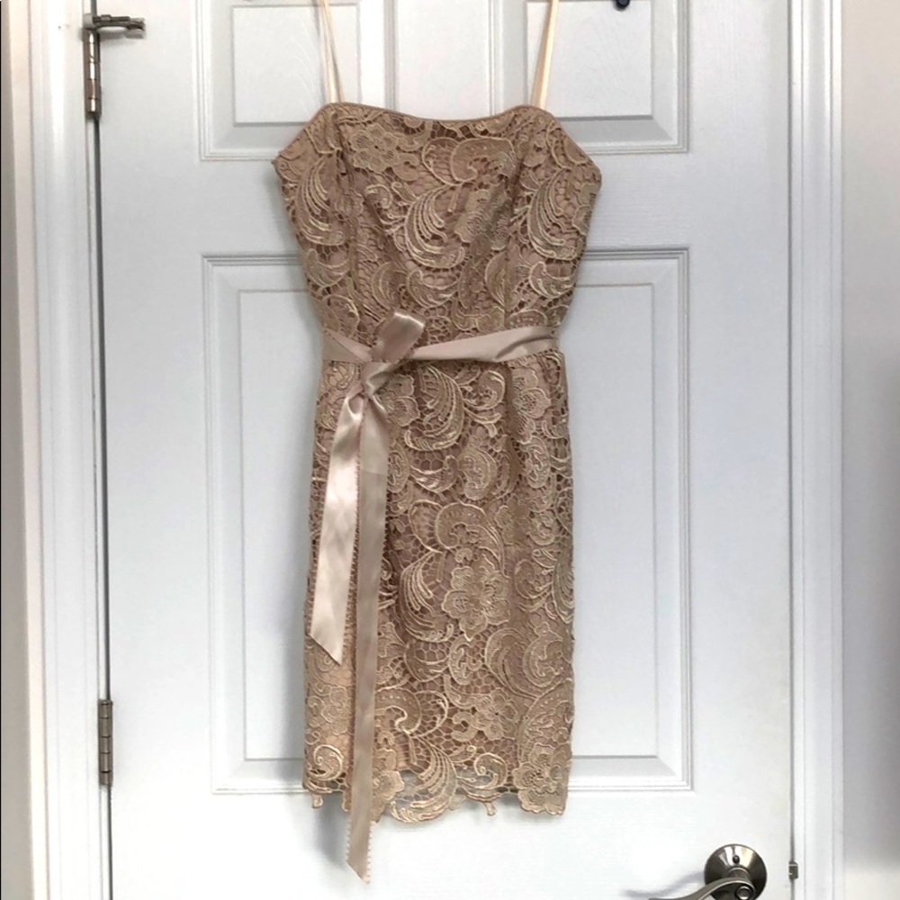 Adrianna Papell strapless lace cocktail dress.